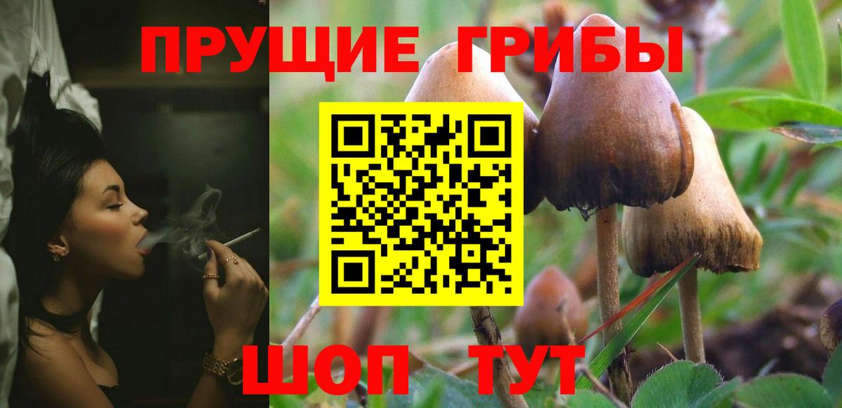 Галлюциногенные грибы ЛСД  Вход с VPN  Шарыпово 